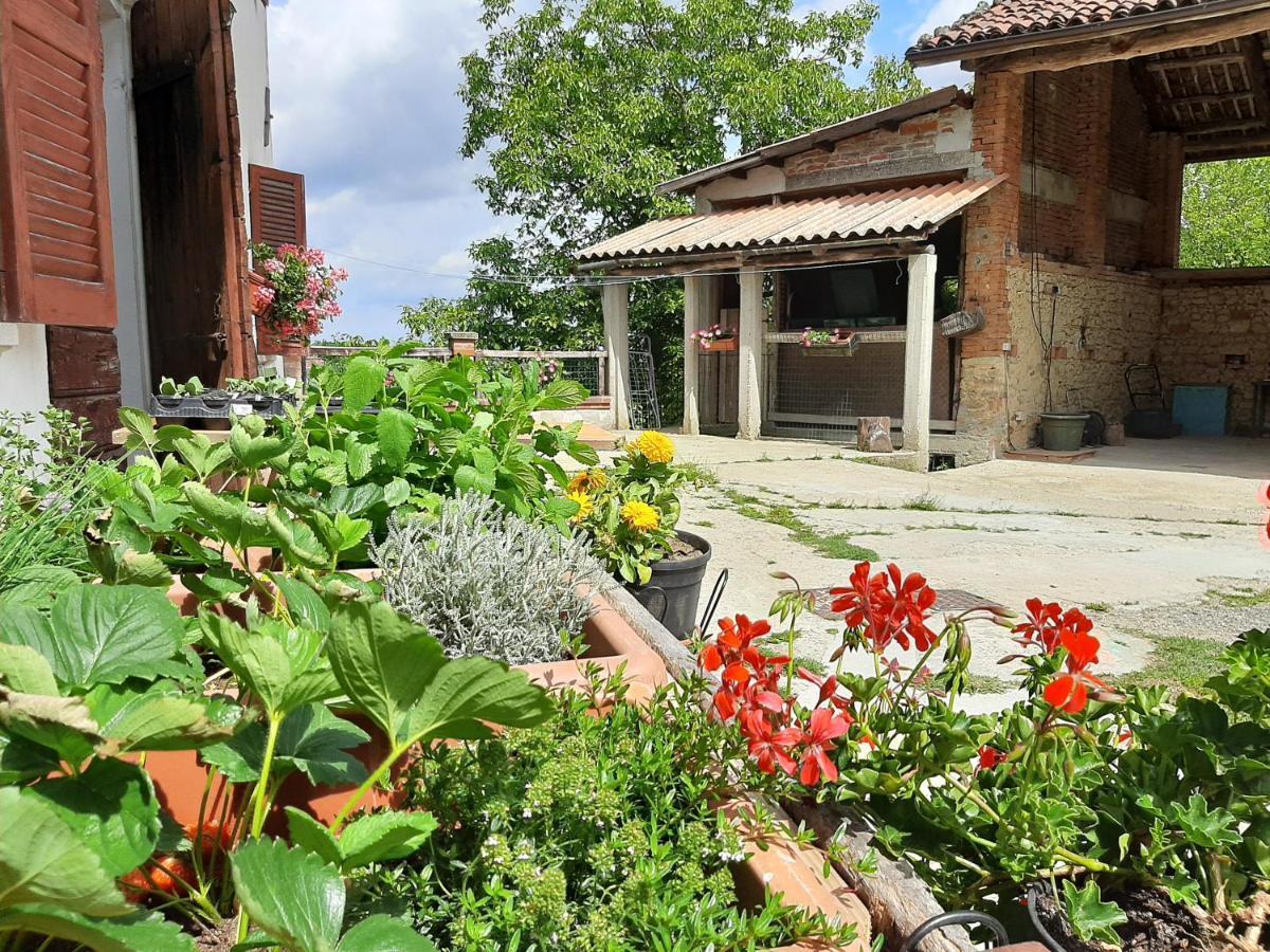 Cascina Teresina Monferrato Piscina Villa Cortazzone ภายนอก รูปภาพ