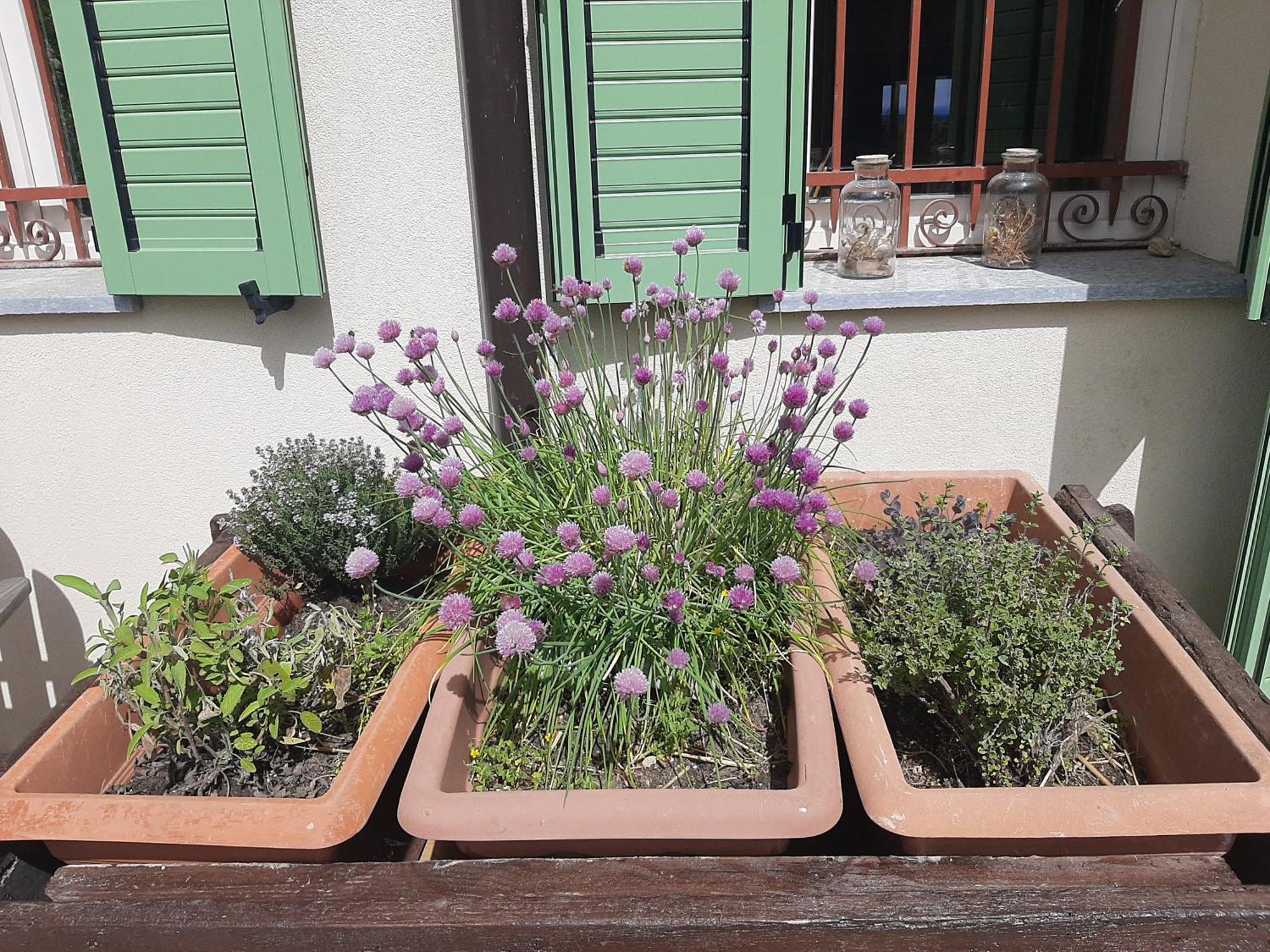 Cascina Teresina Monferrato Piscina Villa Cortazzone ห้อง รูปภาพ